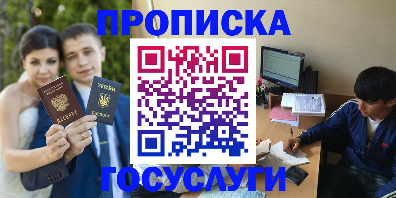 временная регистрация в Павловске